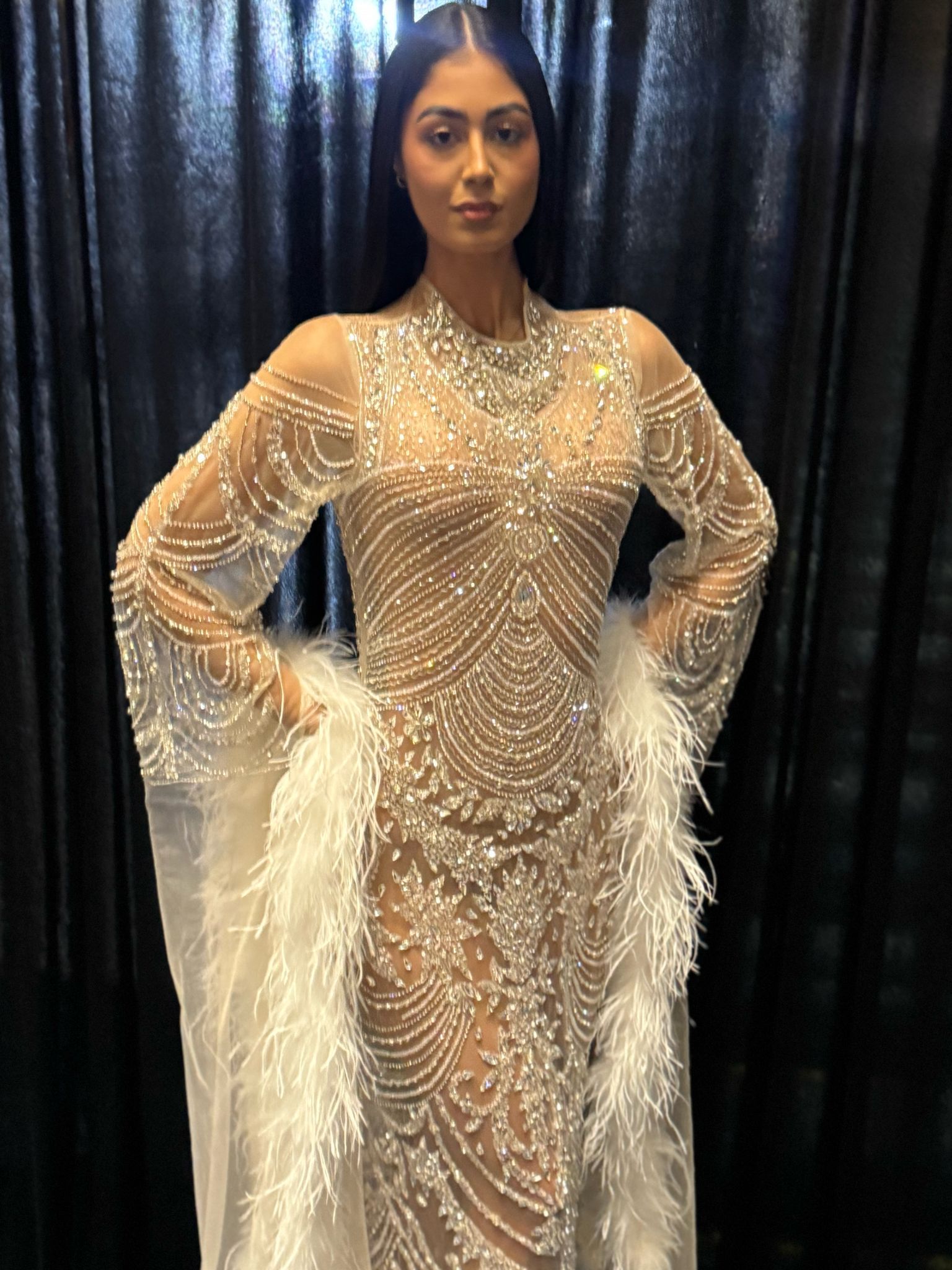 Gabriela Crystal Sheer Feather Gown