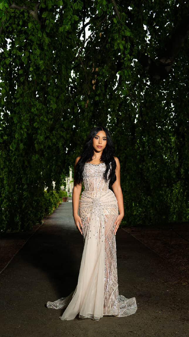 Prisella's Prom Dress