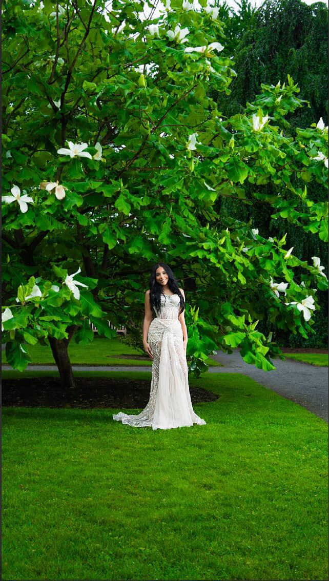 Prisella's Prom Dress