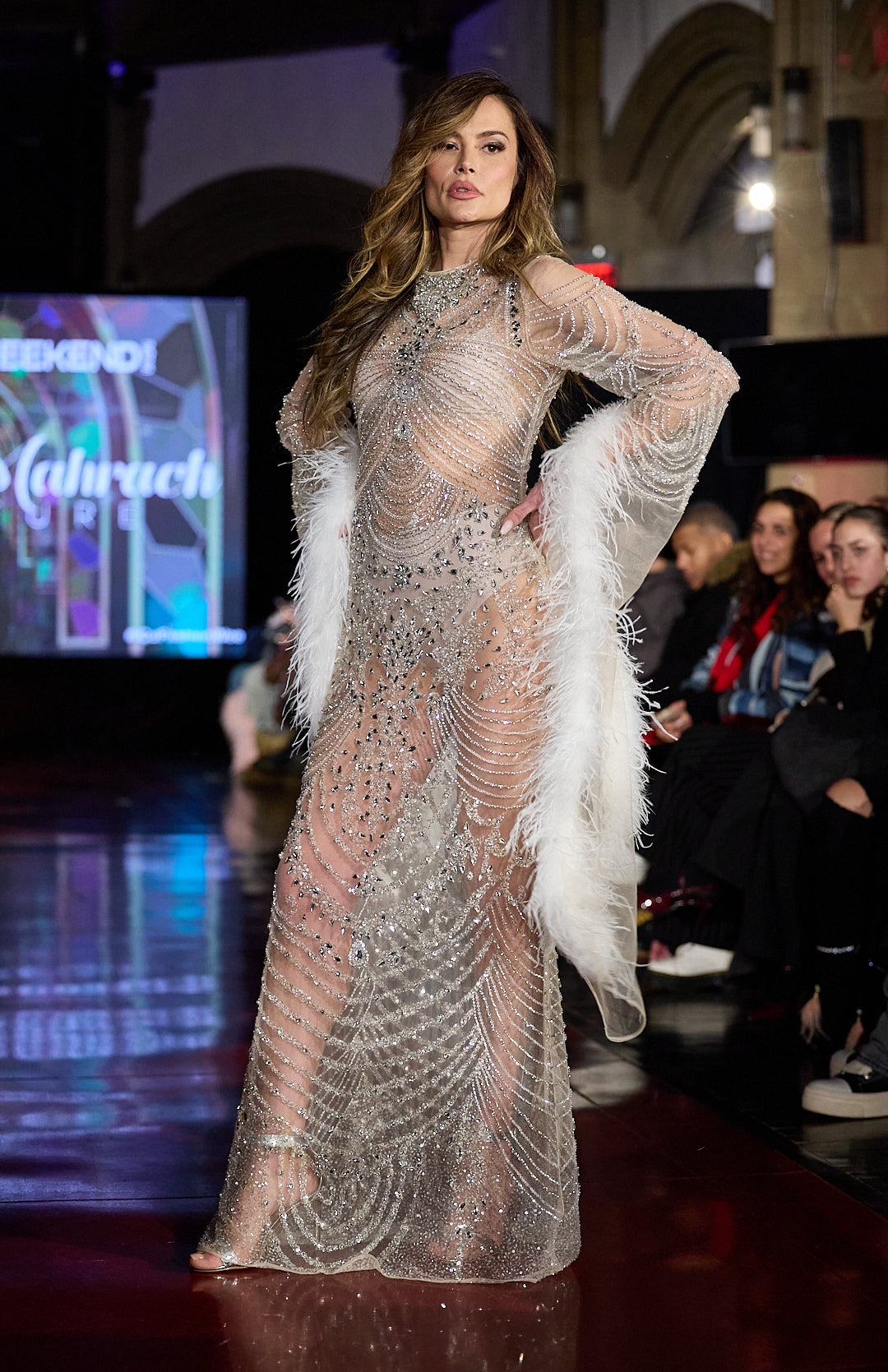 Crystal Sheer Feather Gown