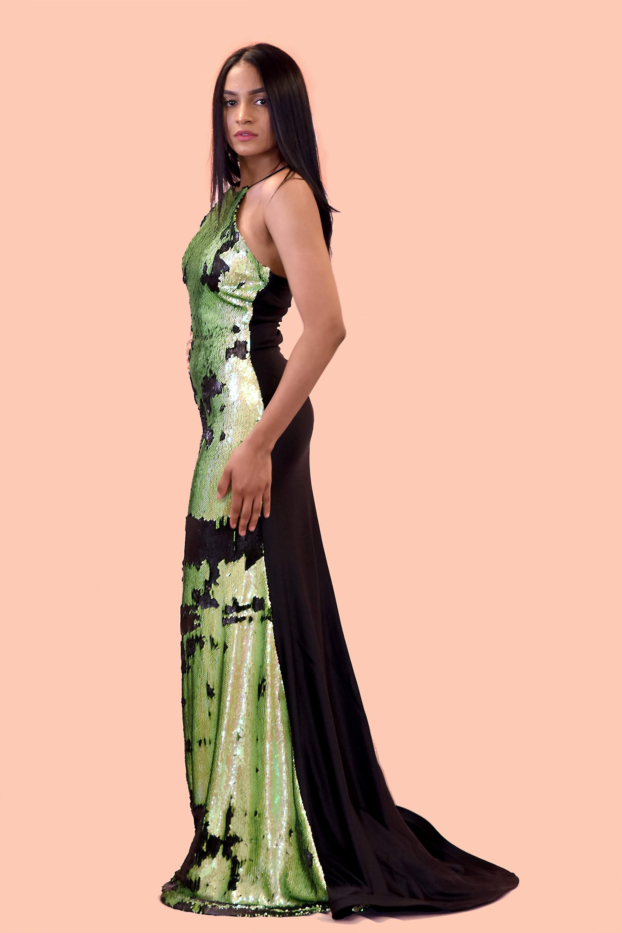 Greensward Sequin Dress